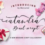 Catandra Brush Script Font