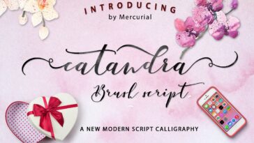 Catandra Brush Script Font