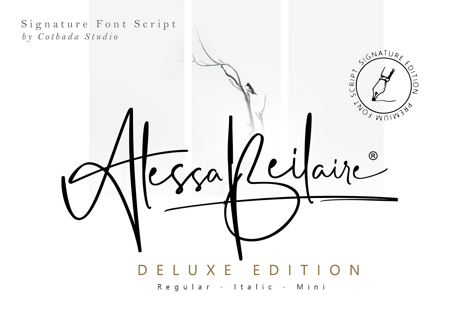 Alessa Beilaire Font (1)