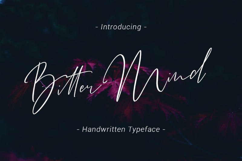 Bitter Mind Script Font