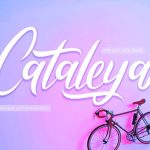 Cataleya Script Font