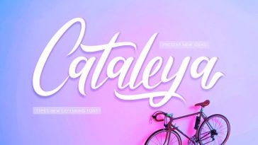 Cataleya Script Font