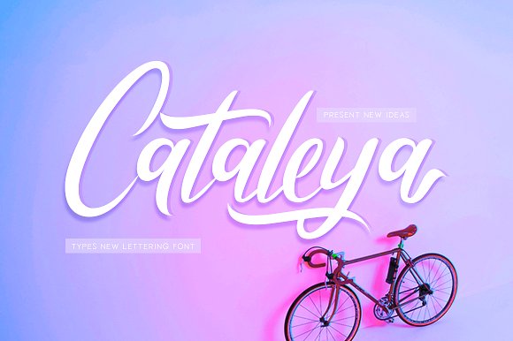 Cataleya Script Font