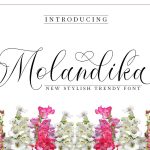 Molandika Calligraphy Font