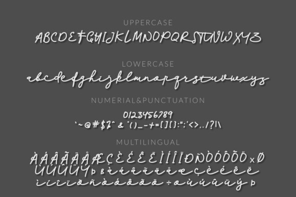 Palleto Font 2