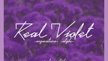 real-violet-font