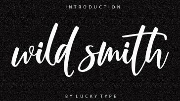 Wild Smith Modern Script Font