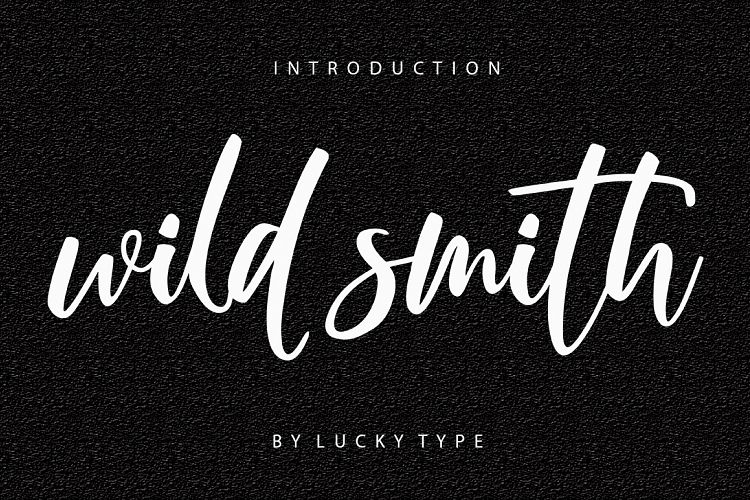 Wild Smith Modern Script Font