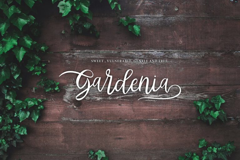 Abhyaksa Handwritten Font 2 768x512