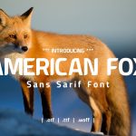 American Fox Font