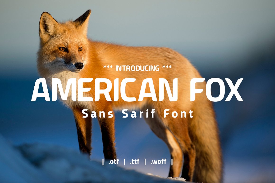 American Fox Font