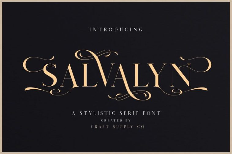 Salvalyn Serif Font 768x512